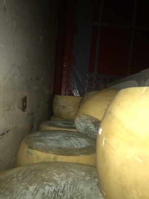 На Львовщине задержали партию контрабандного сыра