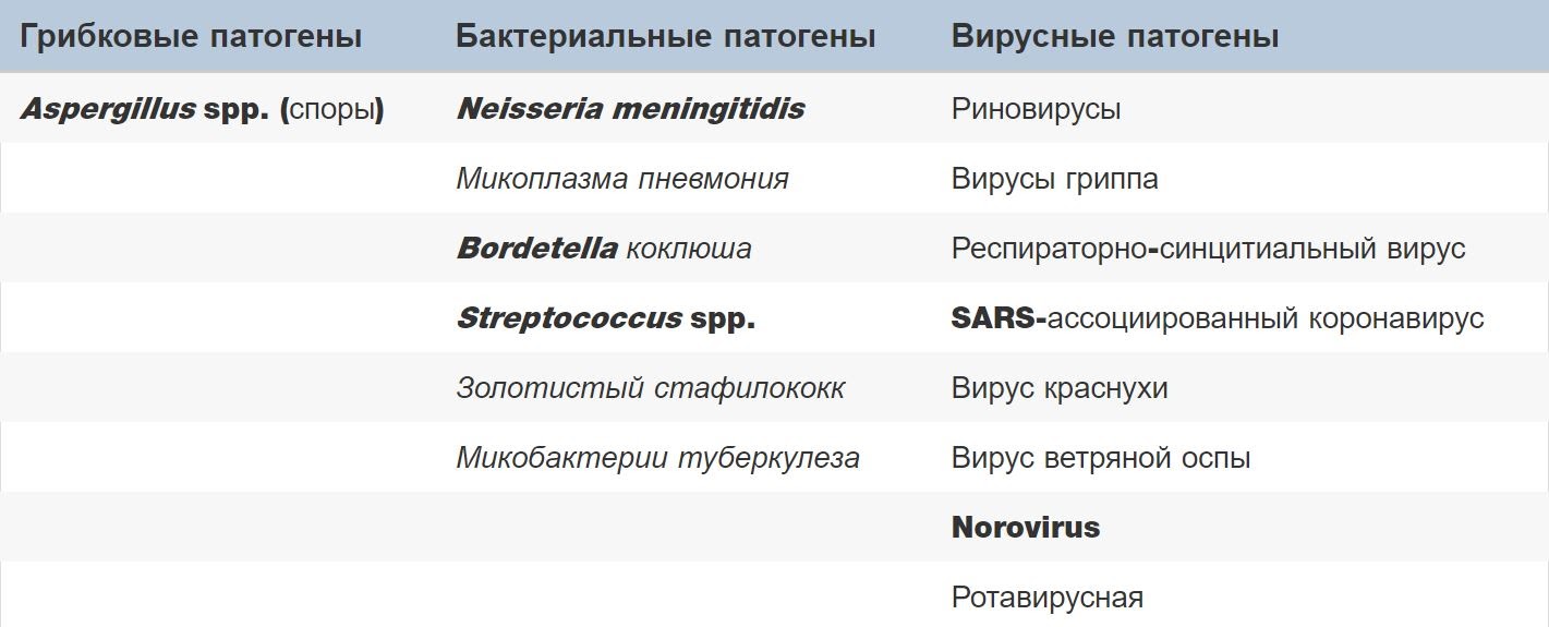 image dqxikeidqxitkant