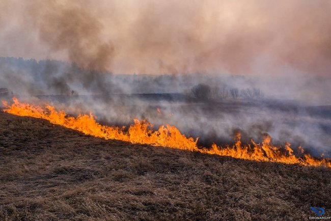 В соцсетях стартовал флешмоб в поддержку Чернобыля: Мы молились за Австралию и Нотр-Дам. Уже восьмой день как горит Зона отчуждения 16 В соцсетях стартовал флешмоб в поддержку Чернобыля: Мы молились за Австралию и Нотр-Дам. Уже восьмой день как горит Зона отчуждения 16