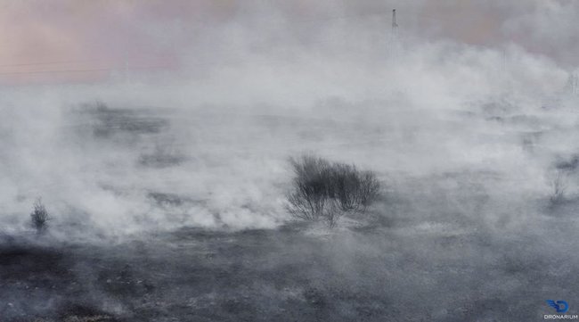 В соцсетях стартовал флешмоб в поддержку Чернобыля: Мы молились за Австралию и Нотр-Дам. Уже восьмой день как горит Зона отчуждения 20 В соцсетях стартовал флешмоб в поддержку Чернобыля: Мы молились за Австралию и Нотр-Дам. Уже восьмой день как горит Зона отчуждения 20