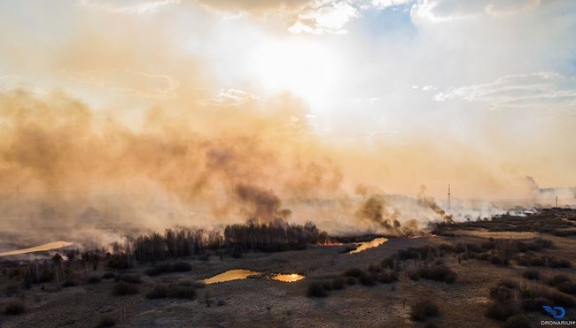 В соцсетях стартовал флешмоб в поддержку Чернобыля: Мы молились за Австралию и Нотр-Дам. Уже восьмой день как горит Зона отчуждения 06 В соцсетях стартовал флешмоб в поддержку Чернобыля: Мы молились за Австралию и Нотр-Дам. Уже восьмой день как горит Зона отчуждения 06