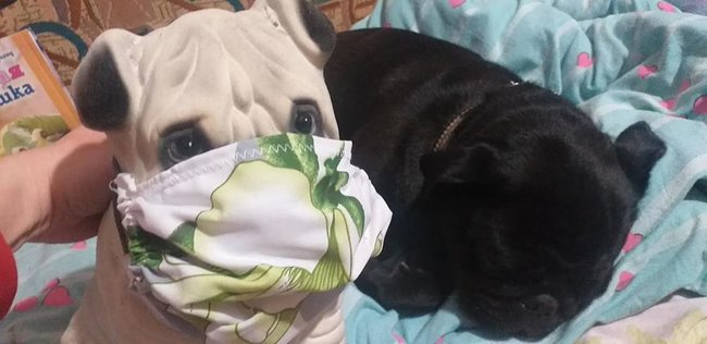 11-летняя школьница с Харьковщины пошила и бесплатно раздала 2000 масок 07 11-летняя школьница с Харьковщины пошила и бесплатно раздала 2000 масок 07