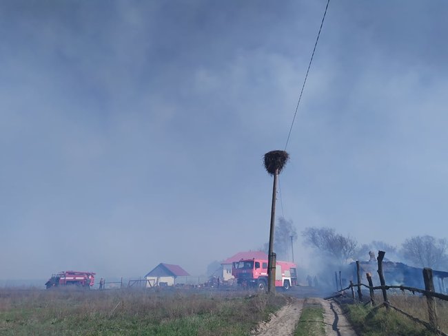 Горит хутор Обырок на Черниговщине, нужна помощь, - жители 03 Горит хутор Обырок на Черниговщине, нужна помощь, - жители 03