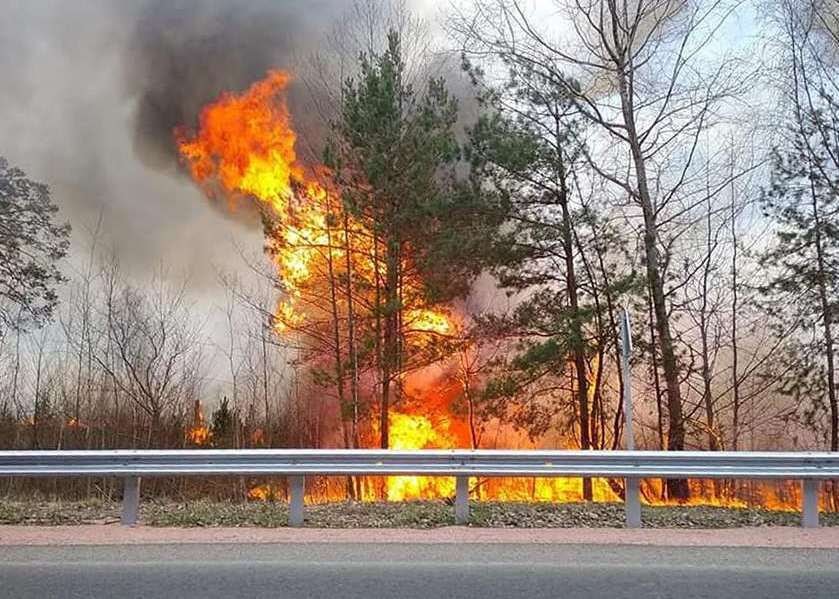 uzbicchia.jpg dqxikeidqxiqqeant