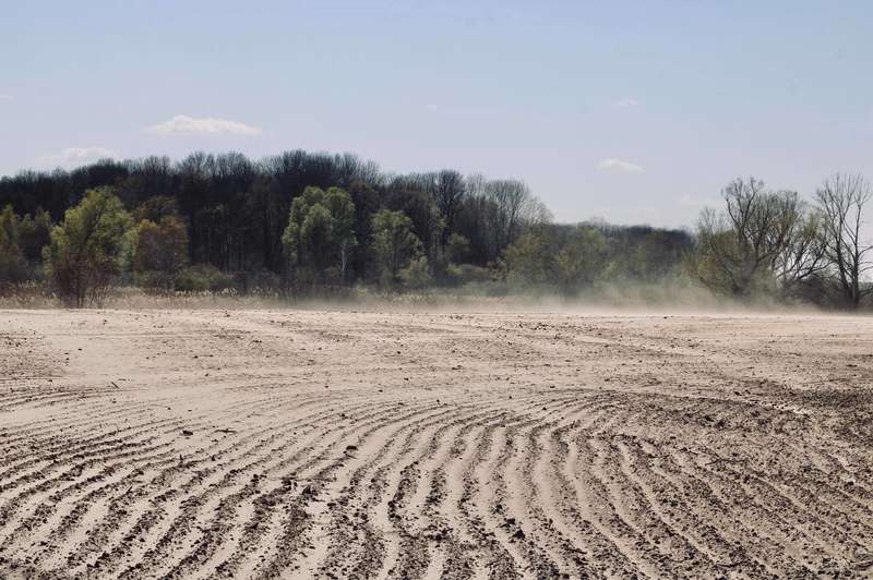  -     :    dqxikeidqxitkant