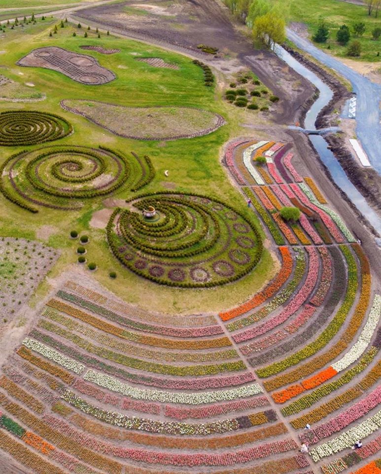 добропарк dqxikeidqxitkant