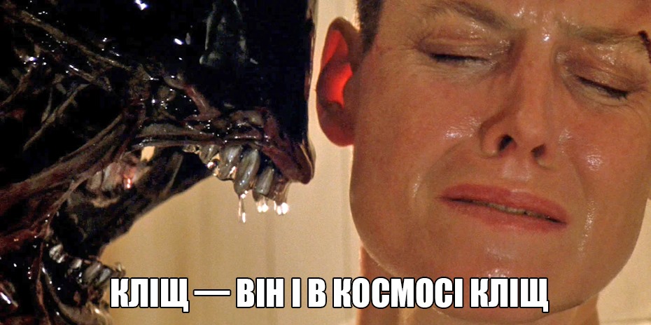 В Минздраве рассказали об опасности клещей. Фото: Facebook / ЦОЗ dqxikeidqxiqqeant