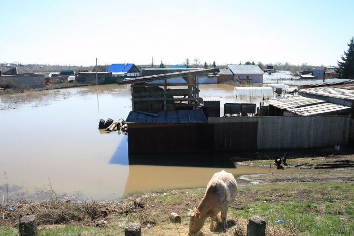 Паводок в Заринске, 26 апреля 2015 года. Фото: Анна Кузнецова.