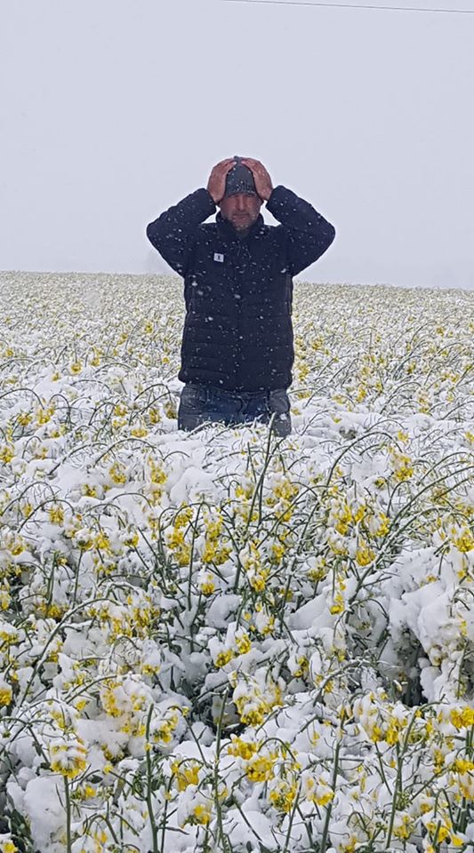 168.jpg dqxikeidqxitkant