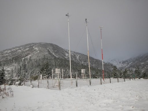     ""   dqxikeidqxiqqeant