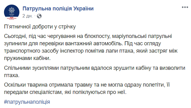 патрульные полицейские спасли птицу dqxikeidqxiqqeant