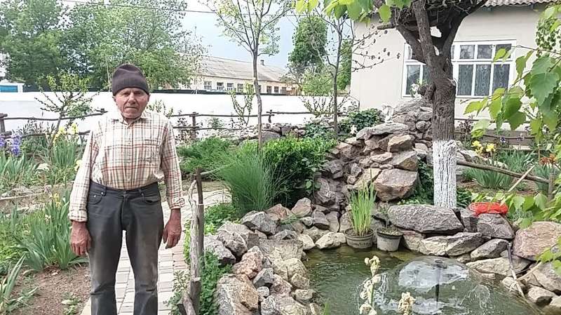    .jpg dqxikeidqxiqqeant