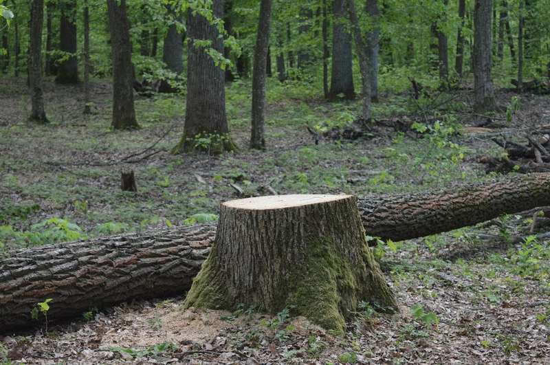  ̆.JPG dqxikeidqxiqqeant