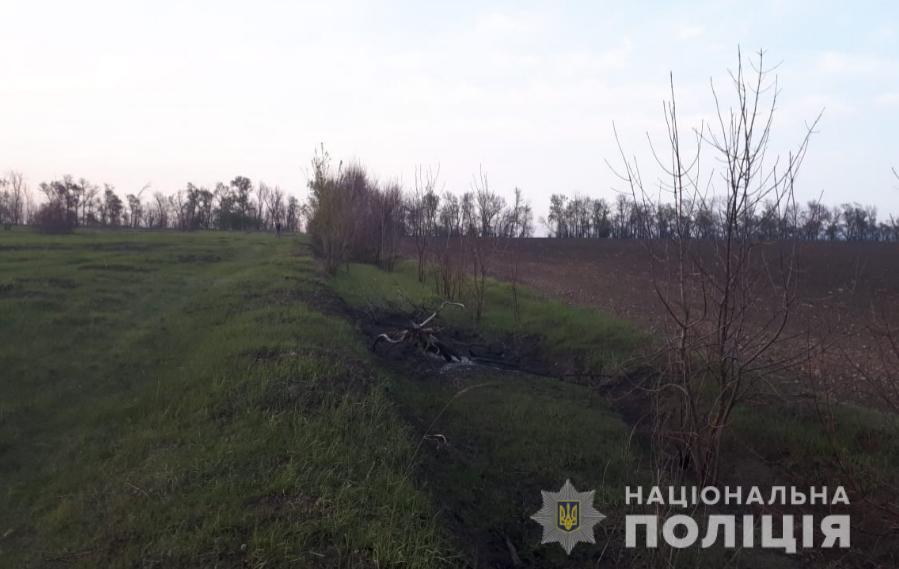 поляна dqxikeidqxitkant