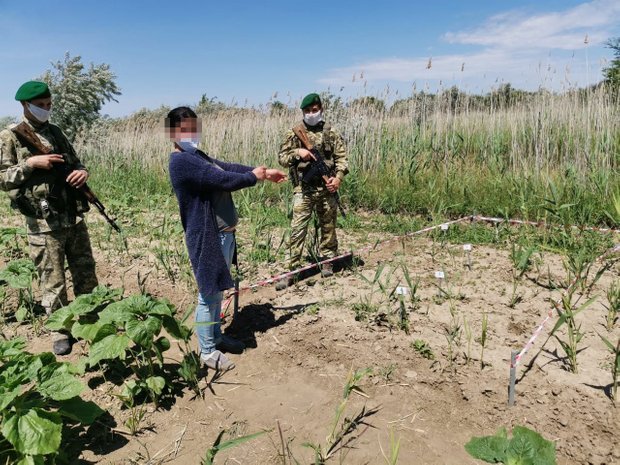 кордон, незаконний перетин dqxikeidqxitkant