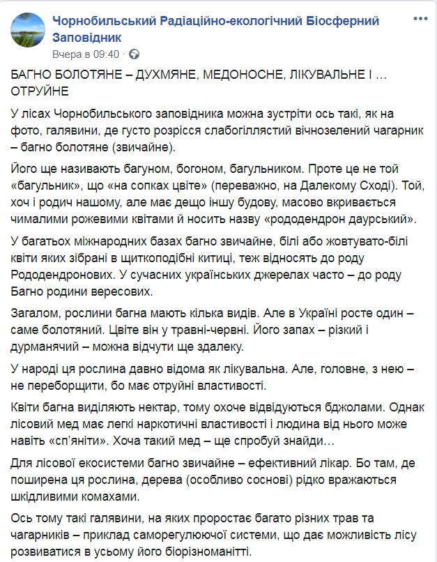 Скриншот из Facebook Чернобыльского заповедника dqxikeidqxitkant