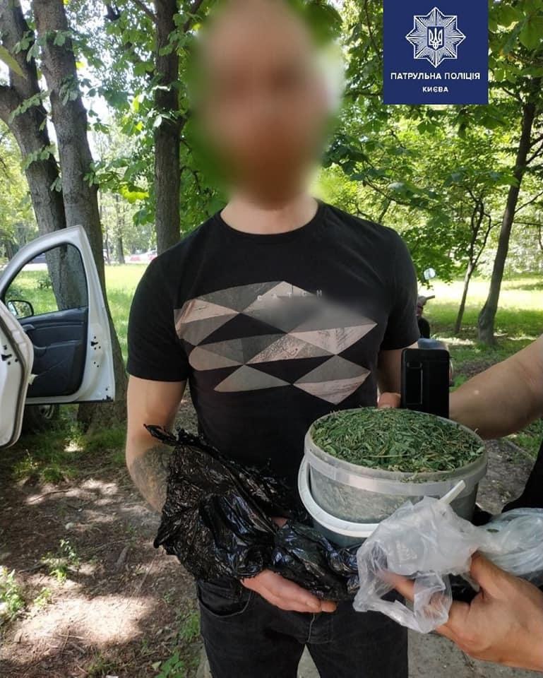       . :   dqxikeidqxitkant