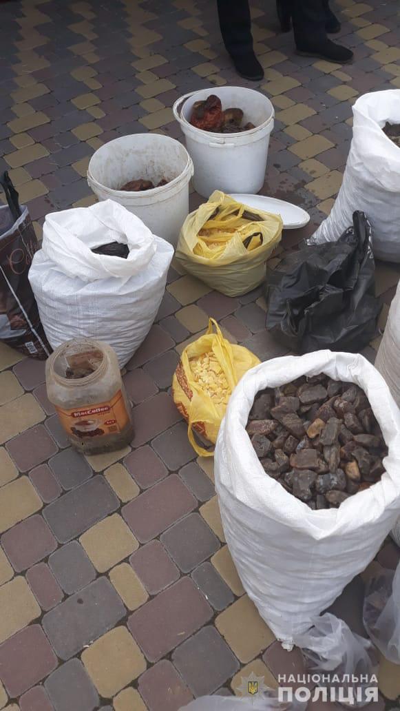 Полиция изъяла 858 кг янтаря общей стоимостью $1,2 млн на Ривненщине 03