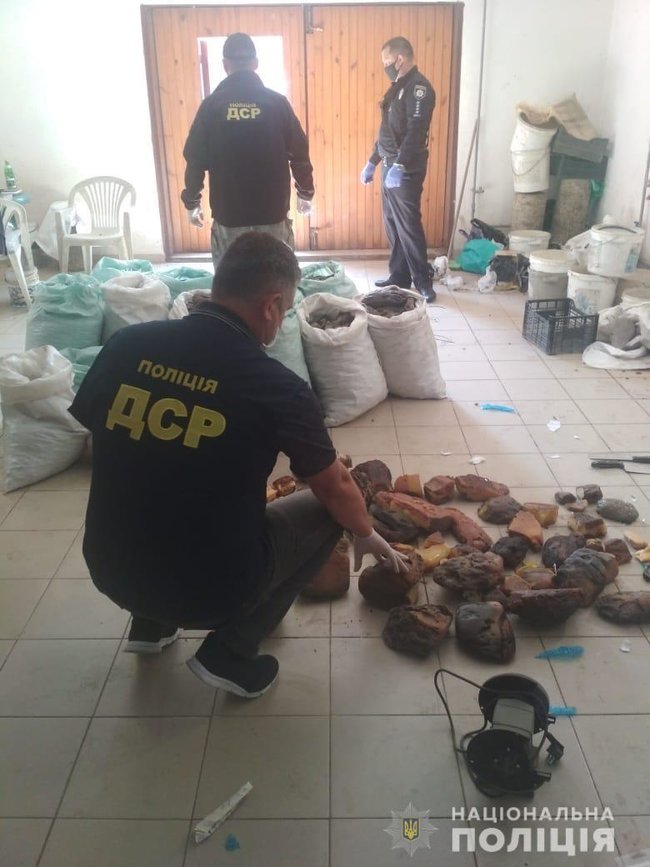 Полиция изъяла 858 кг янтаря общей стоимостью $1,2 млн на Ривненщине 04