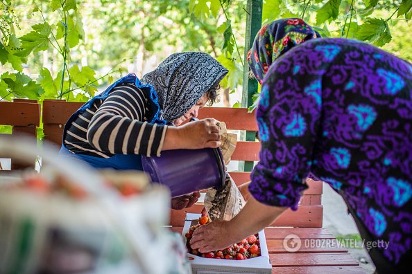      100  dqxikeidqxitkant