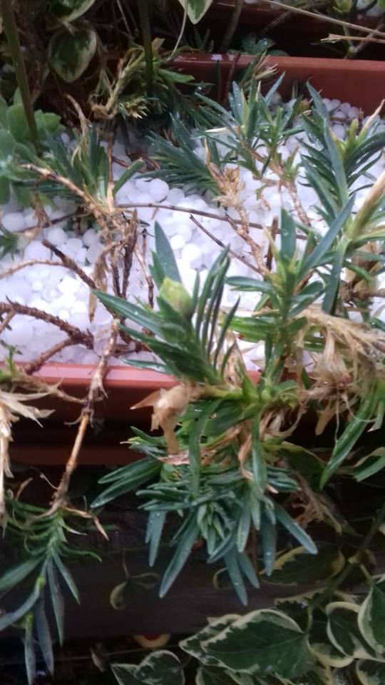 В Хорватии выпал снег