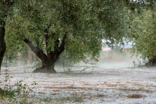 В Хорватии выпал снег