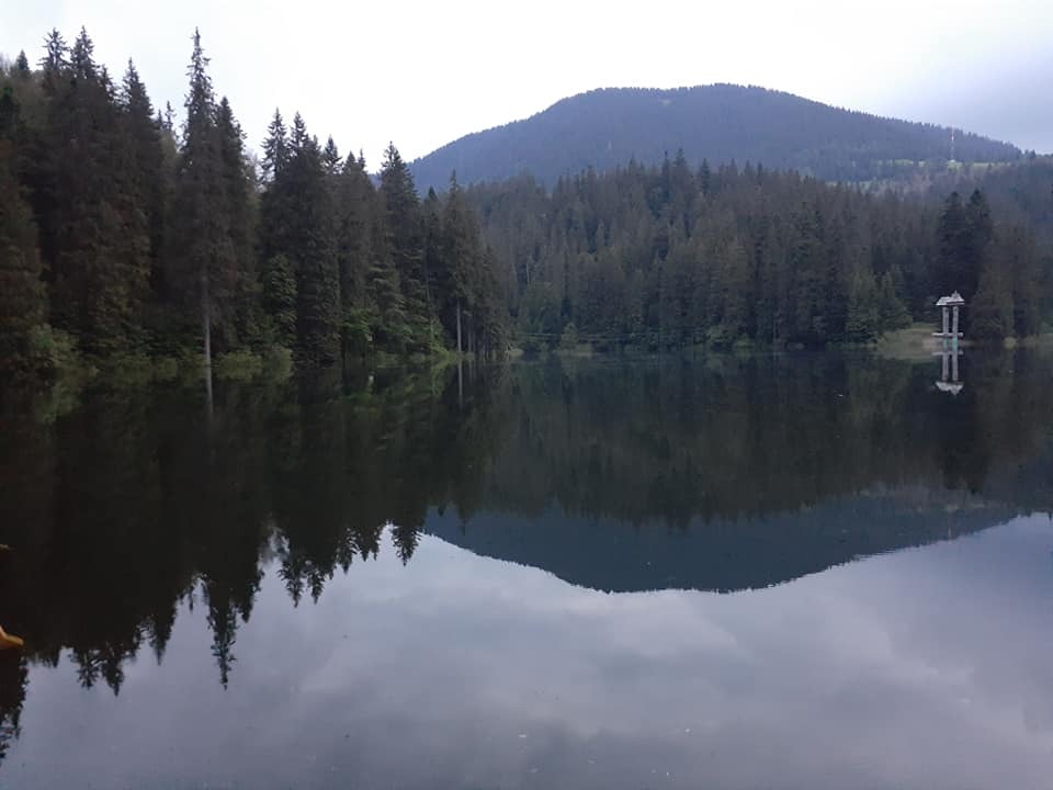 ""   dqxikeidqxitkant