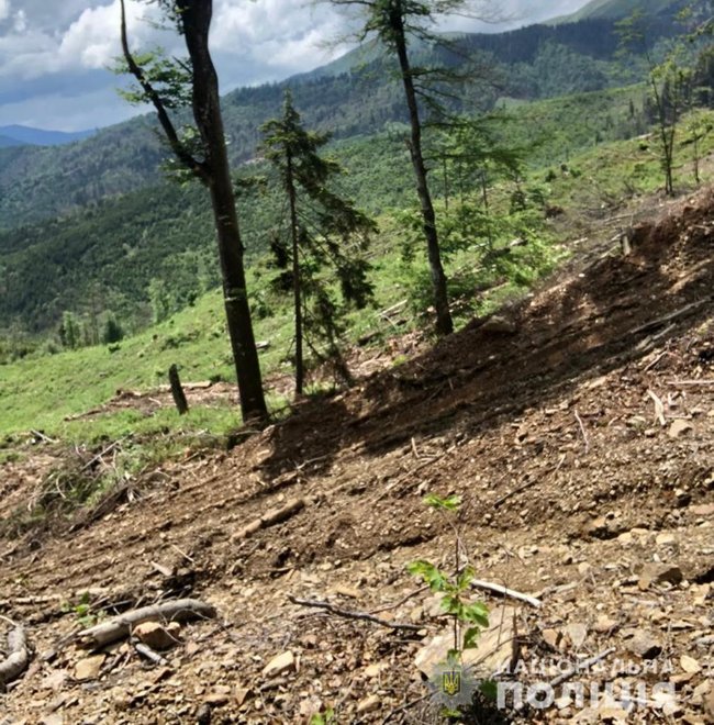 ÐÐ²Ð¾Ñ Ð»ÑÑникÑв дозволили виÑÑбаÑи на ÐакаÑпаÑÑÑ 400 бÑкÑв, ÑÐµÐ¿ÐµÑ Ñм загÑожÑÑ Ð²ÑзниÑÑ 01 dqxikeidqxiqqeant