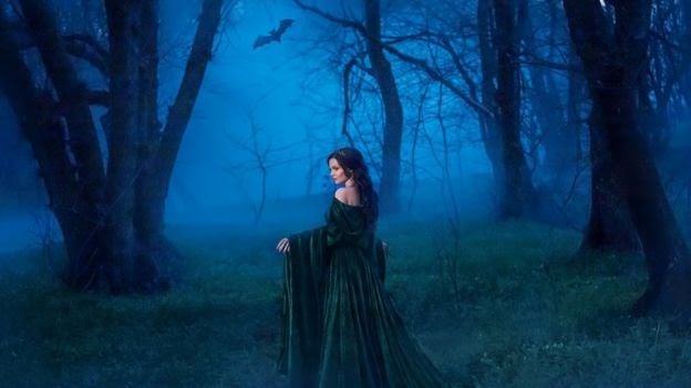 Летучие мыши