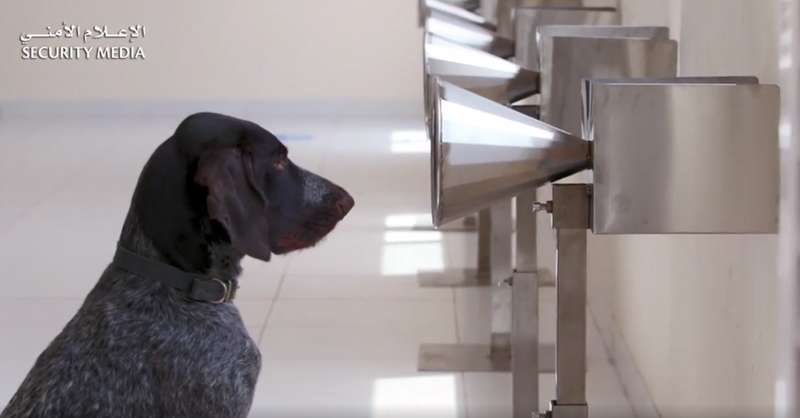       COVID-19 dqxikeidqxiqqeant