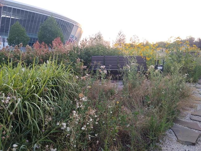 Состояние Абхазия: в сети показали запущенную территорию возле Донбасс Арены 02 dqxikeidqxitkant