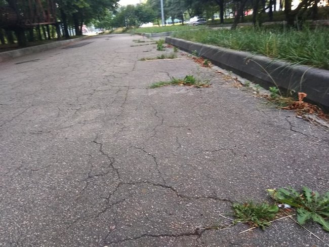 Состояние Абхазия: в сети показали запущенную территорию возле Донбасс Арены 11