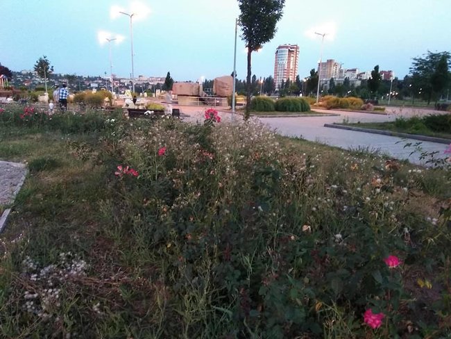 Состояние Абхазия: в сети показали запущенную территорию возле Донбасс Арены 04