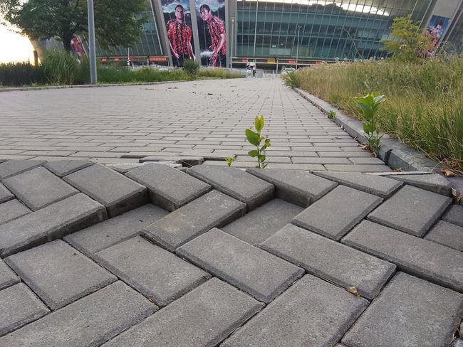 Состояние Абхазия: в сети показали запущенную территорию возле Донбасс Арены 05