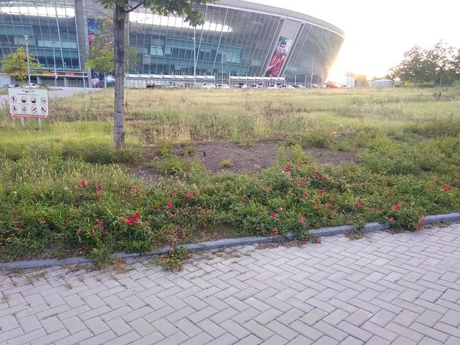 Состояние Абхазия: в сети показали запущенную территорию возле Донбасс Арены 08