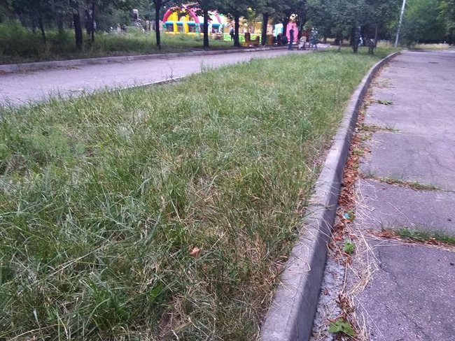 Состояние Абхазия: в сети показали запущенную территорию возле Донбасс Арены 10