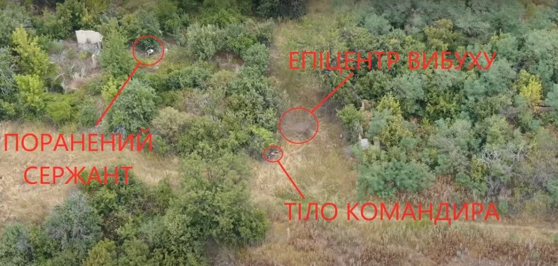   :    . dqxikeidqxitkant