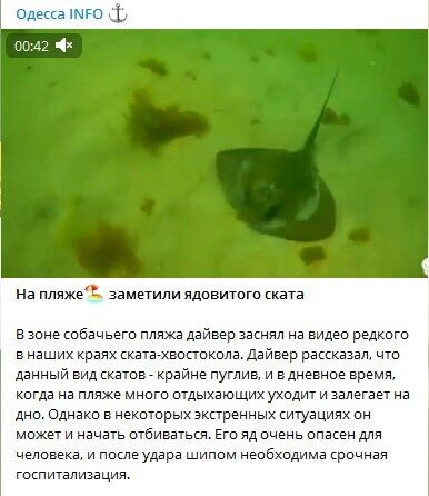       :   –   dqxikeidqxitkant