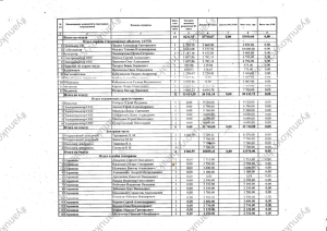 зарплата ведомость1