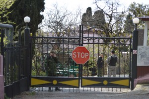 DSC_0239 dqxikeidqxitkant