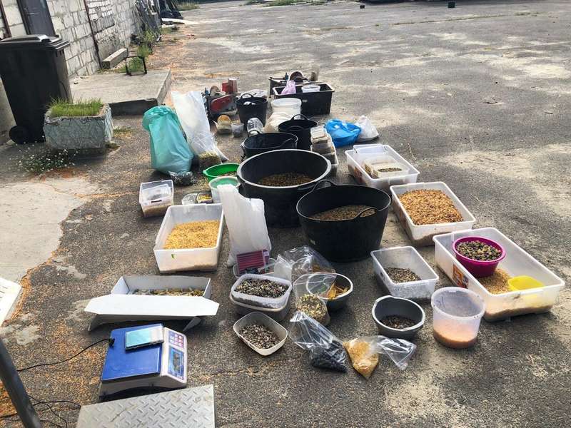 В Ровенской области во время обысков обнаружили янтаря на 2 млн грн dqxikeidqxiqqeant