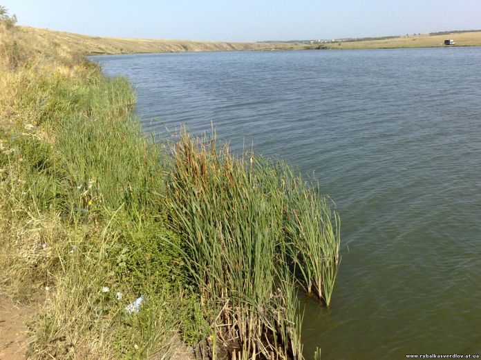 Донбасс привык жить в грязи