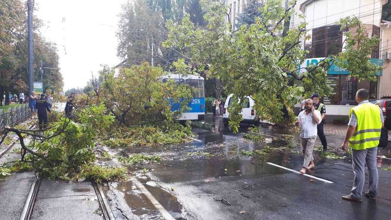 троллейбус dqxikeidqxitkant