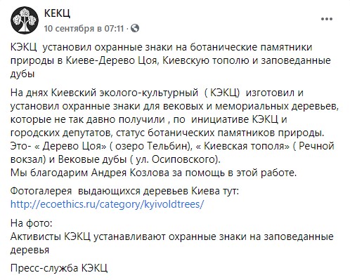 Дерево Цоя в Киеве взяли под охрану dqxikeidqxiqqeant