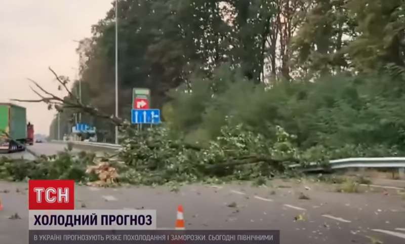 Ураган в столице повалил деревья на дорогу. dqxikeidqxiqqeant