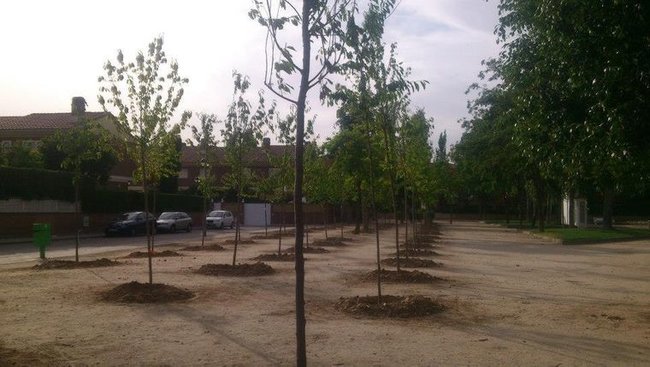 Ð’ Ñ–ÑÐ¿Ð°Ð½ÑÑŒÐºÐ¾Ð¼Ñƒ Ð¼Ñ–ÑÑ‚Ñ– ÐÐ»ÑŒÐºÐ°Ð»Ð°-Ð´Ðµ-Ð•Ð½Ð°Ñ€ÐµÑ Ð¾ÑÐºÐ²ÐµÑ€Ð½Ð¸Ð»Ð¸ Ð¼ÐµÐ¼Ð¾Ñ€Ñ–Ð°Ð» ÐÐµÐ±ÐµÑÐ½Ð¾Ñ— Ð¡Ð¾Ñ‚Ð½Ñ– 03 dqxikeidqxitkant