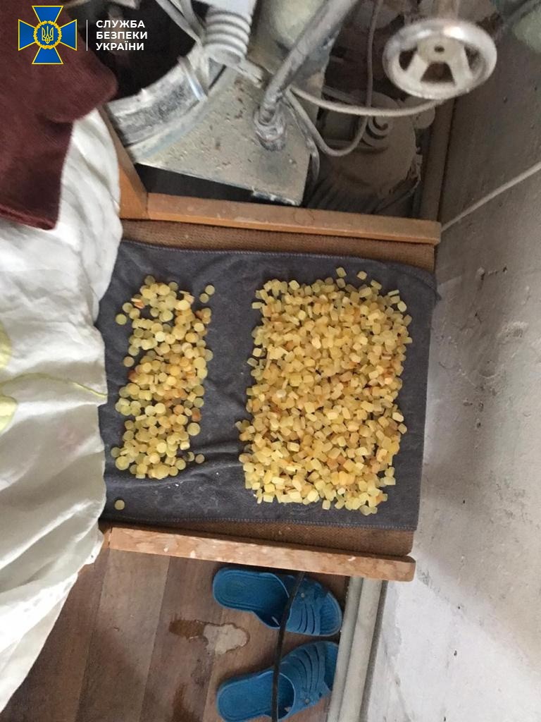 СБУ вилучила майже тонну бурштину, який везли в Азію. ФОТО