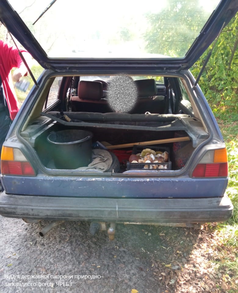    . : Facebook /   dqxikeidqxitkant