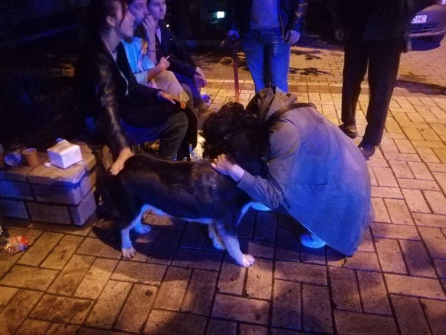 Дом горел в Одессе, девушку госпитализировали в тяжелом состоянии 03