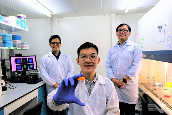 Новый метод позволяет проникать внутрь раковых клеток и разрушать их dqxikeidqxiqqeant